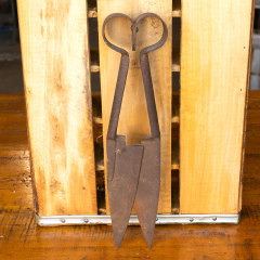 #20616 - Antique&nbsp;Sheep&nbsp;Shears&nbsp;image