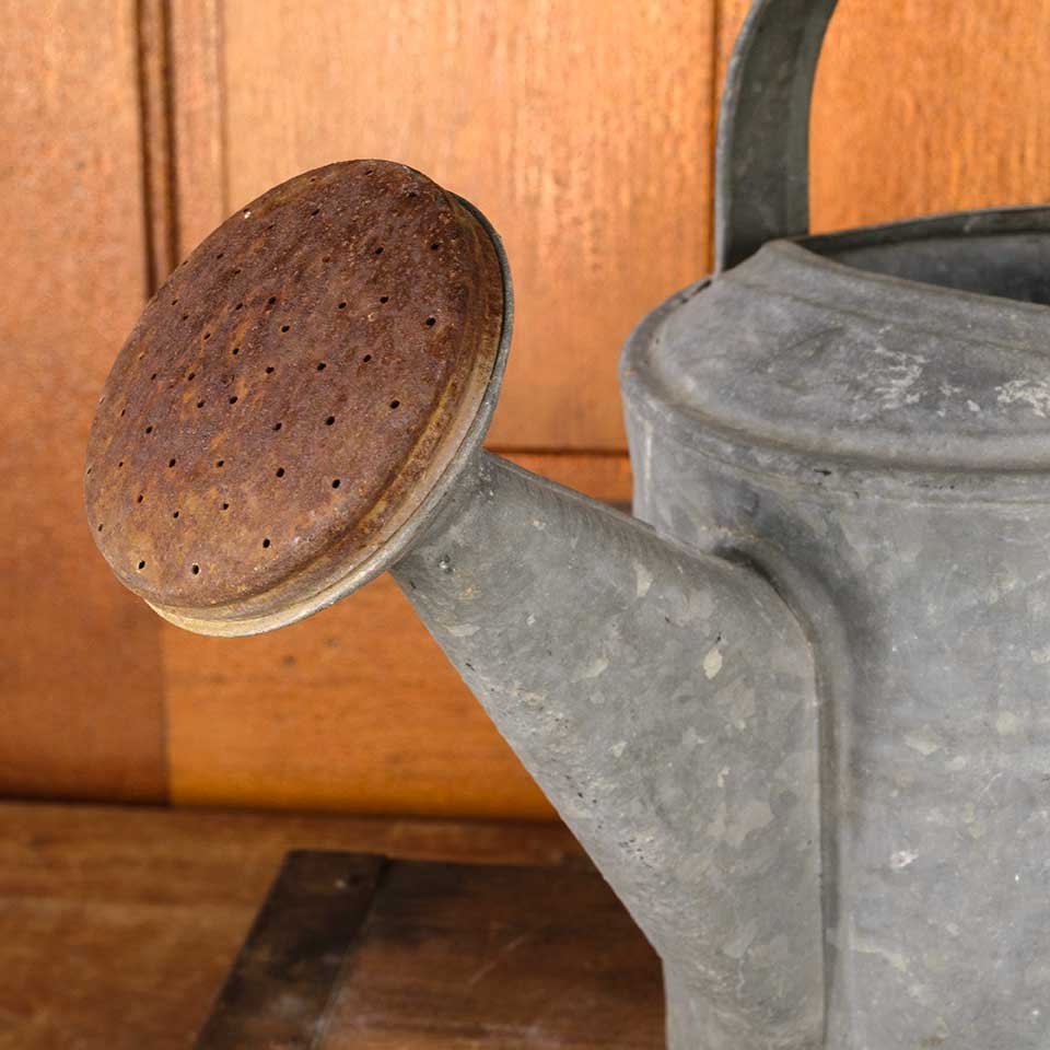 Antique Galvanized Metal Watering Can image 4