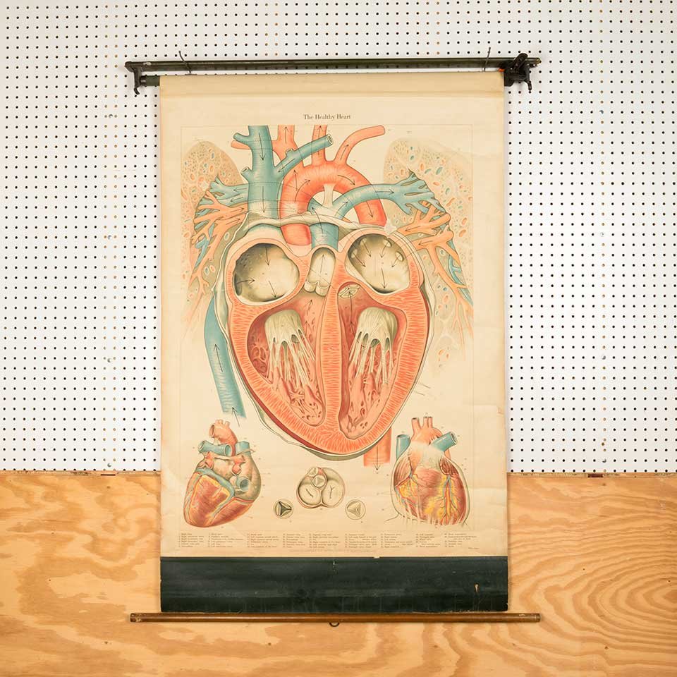 Vintage Pull-Down Diagram of the Heart image 1