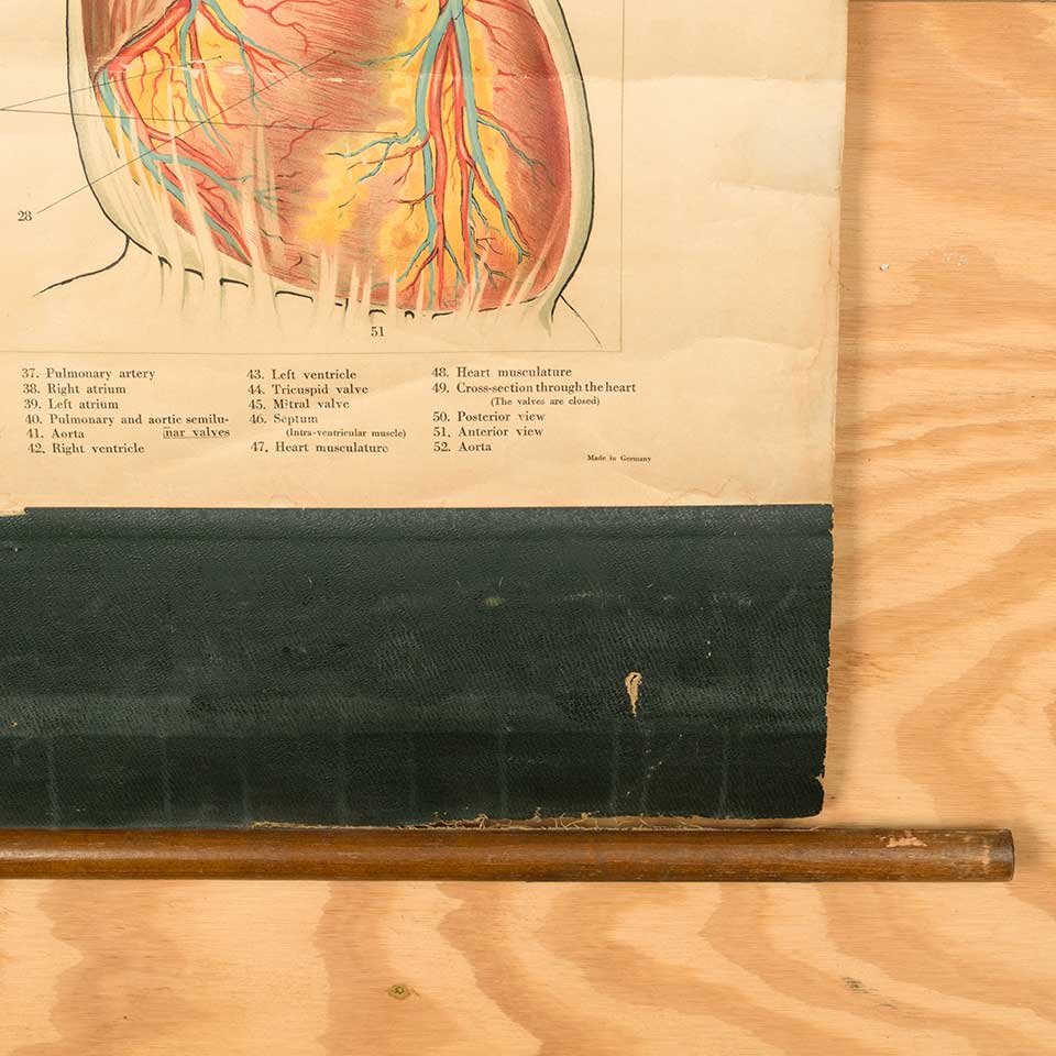 Vintage Pull-Down Diagram of the Heart image 3