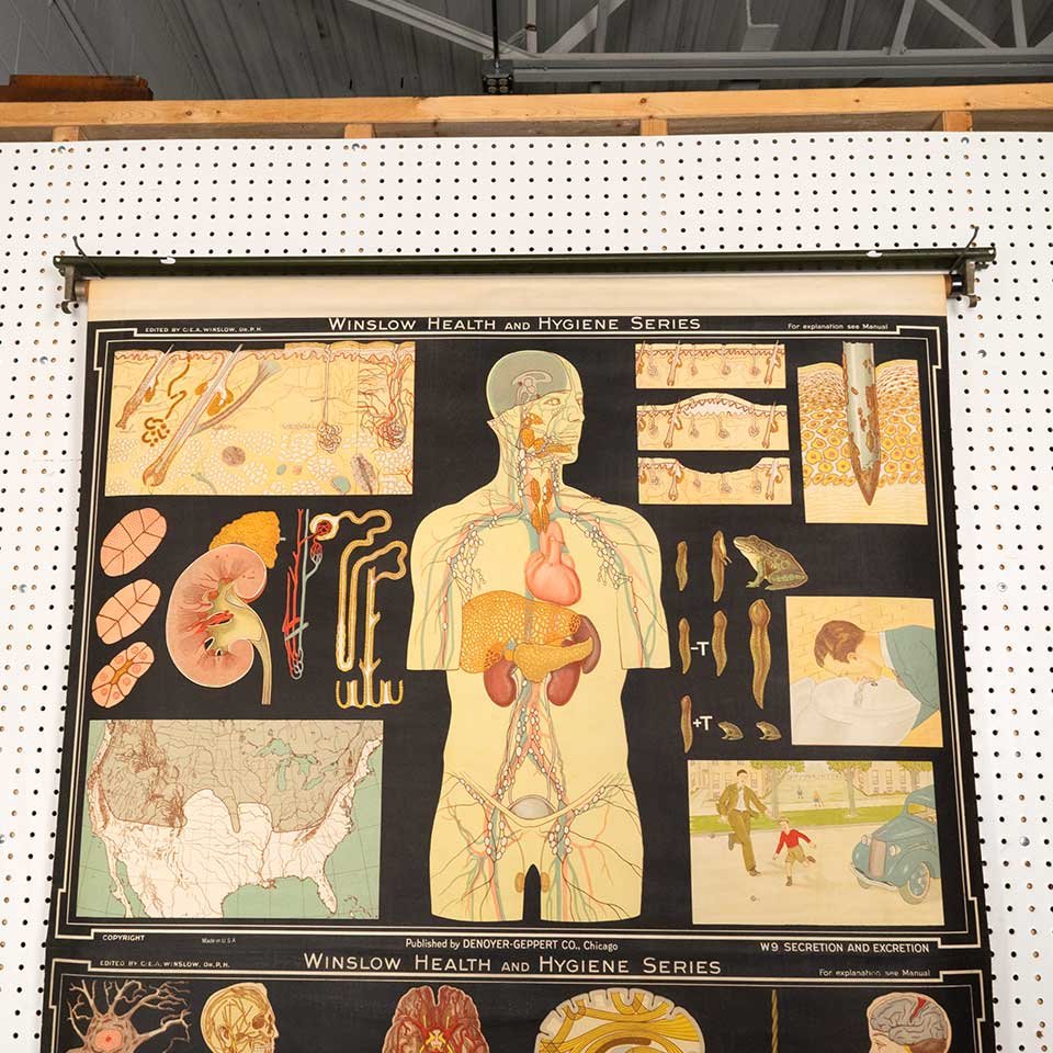Vintage Pull-Down Health & Hygiene Diagram image 5