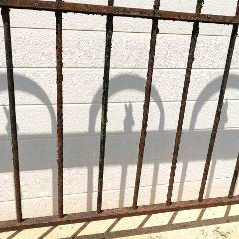 #14095 Salvaged Antique Wrought Iron Fence & Posts image 7