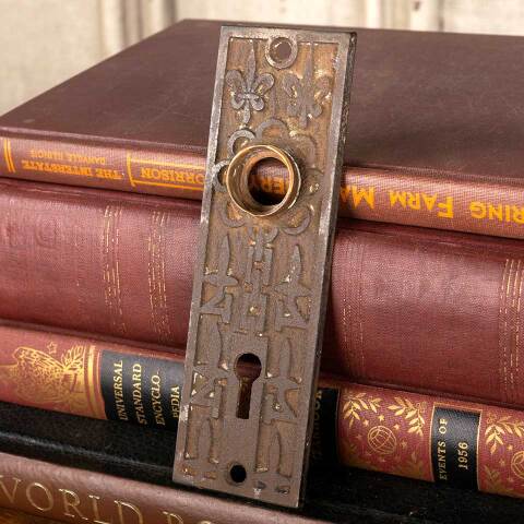 #38717 Mallory Wheeler Co. Fleur-de-lis Backplate image 3