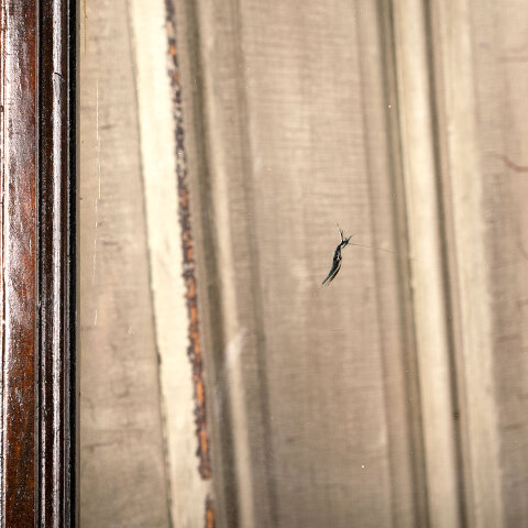 #39265 38x29 Divided Lite Transom Window image 5