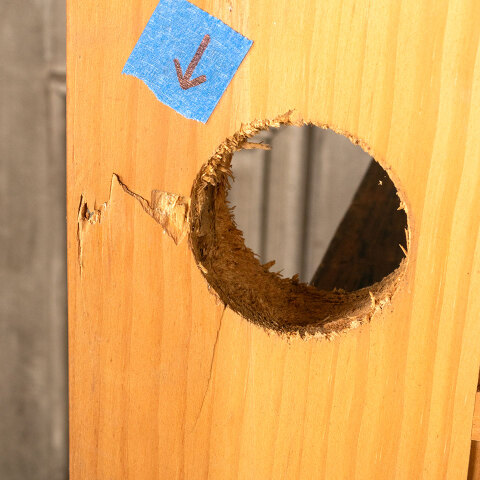 #45036 36x80 Modern 15 Lite Wood French Door image 7