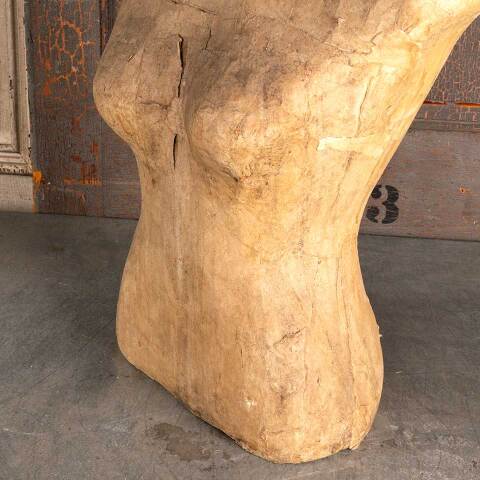 #47697 Cardboard Female Mannequin Torso image 6