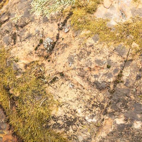 #51298 Stone Concretion Garden Landscape Ornament image 3