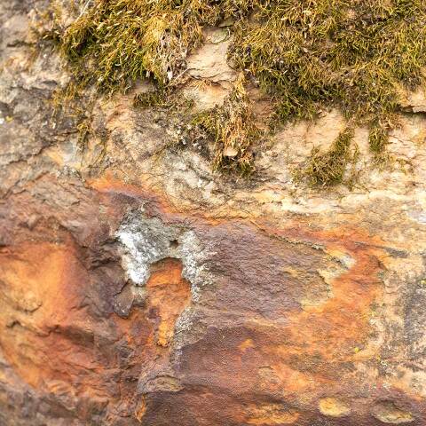 #51299 Stone Concretion Garden Landscape Ornament image 4