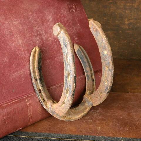 #52562 Antique Blacksmith Horseshoe Wall Hook image 5