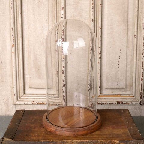 #54385 12" Glass Display Cloche Bell Dome image 2