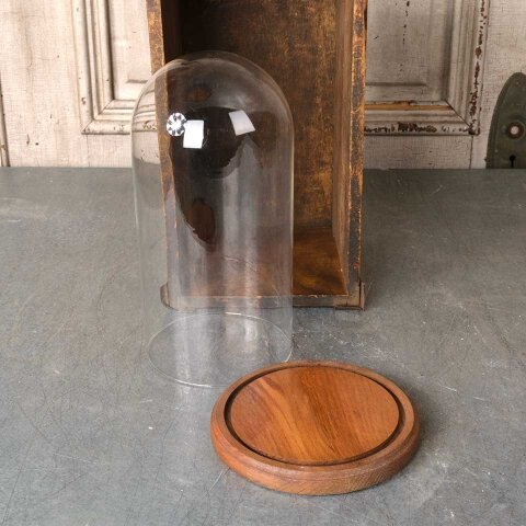 #54385 12" Glass Display Cloche Bell Dome image 5