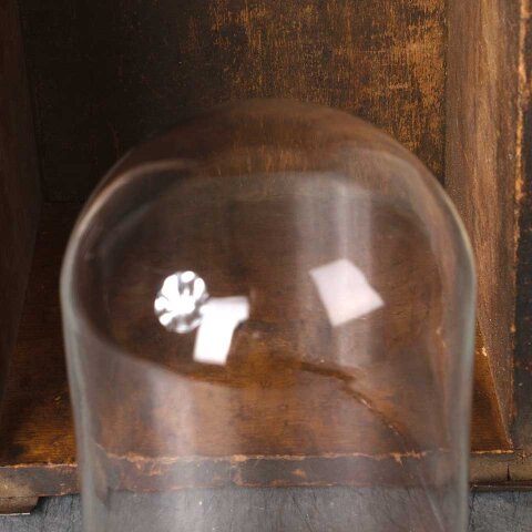 #54386 8" Glass Display Cloche Bell Dome image 2