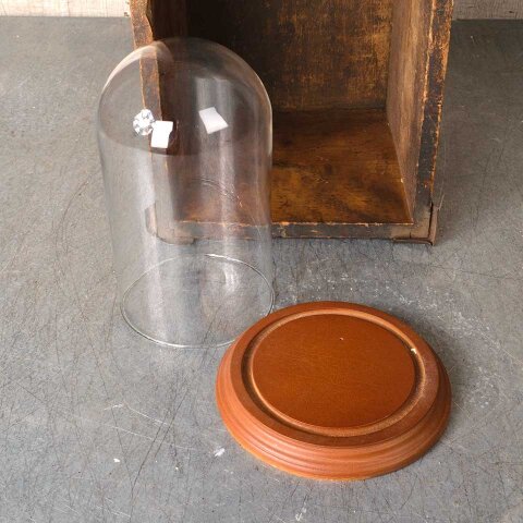 #54386 8" Glass Display Cloche Bell Dome image 4