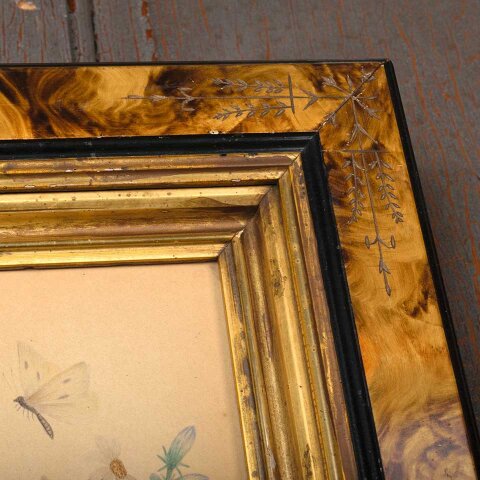 #54960 Antique Victorian Framed Floral Drawing image 5