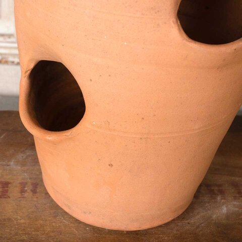 #55497 Terra Cotta Hens & Chicks Garden Planter Pot image 4